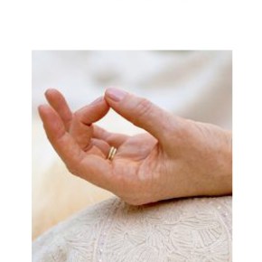 SHUNI MUDRA
